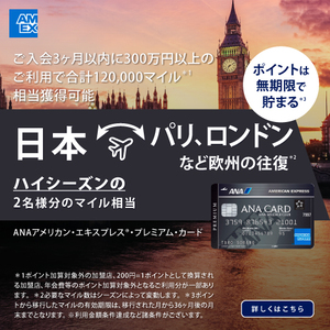 アメリカン・エキスプレス・ビジネス・プラチナ・カード